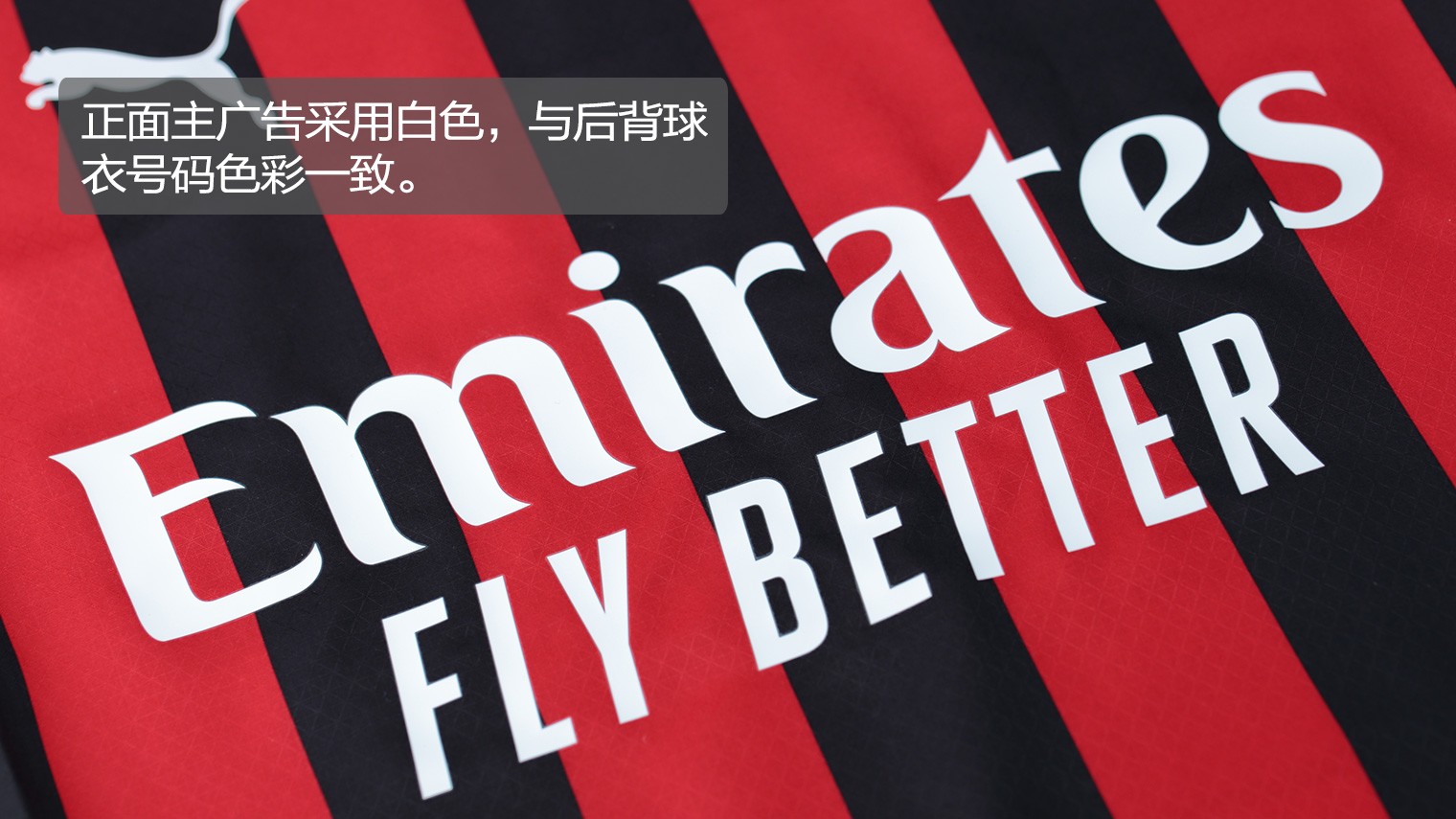 46004.19691（编号46004-19691）