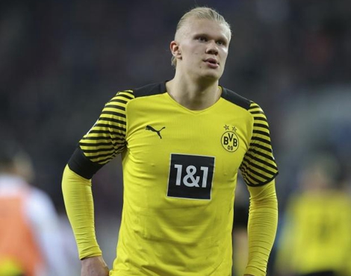 篮网主场113-103击败公牛，小波特砍33分，球队高效进攻，取得两连胜，公牛五连败。（篮网主场113-103擒公牛，小波特轰33分助队取两连胜，公牛遭遇五连败）